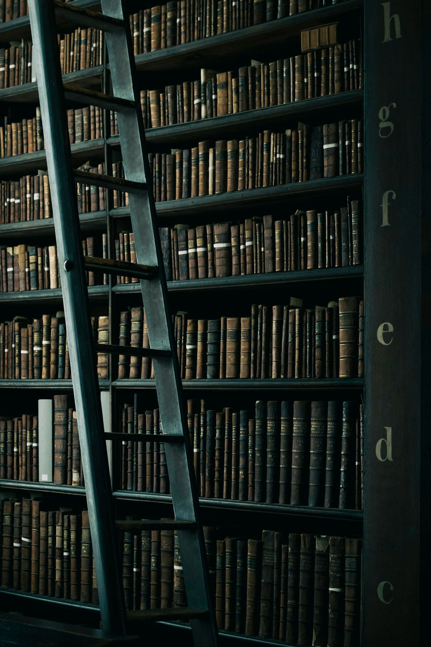 A importância da leitura na era digital